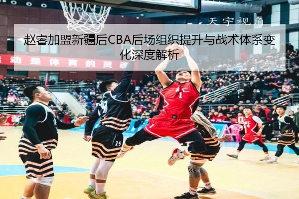 赵睿加盟新疆后CBA后场组织提升与战术体系变化深度解析