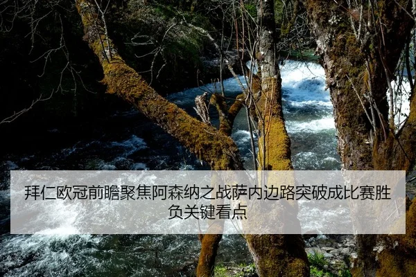 拜仁欧冠前瞻聚焦阿森纳之战萨内边路突破成比赛胜负关键看点