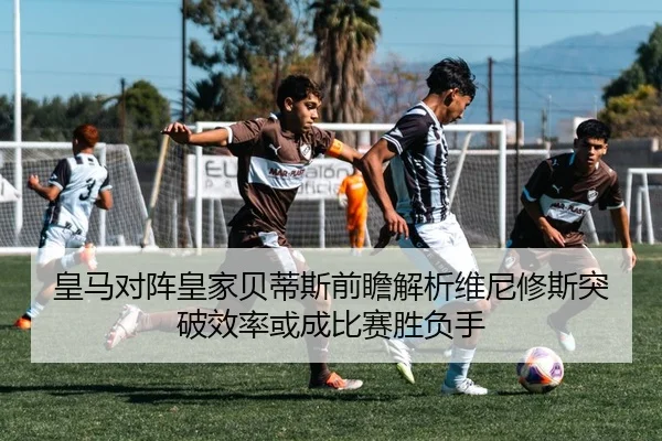 img_1783325759646_198_1_420.jpg